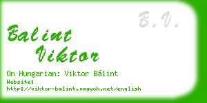 balint viktor business card